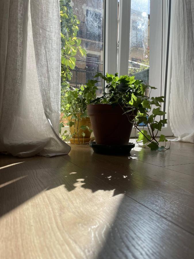 Bella Easo Apartamento 산세바스티안 외부 사진